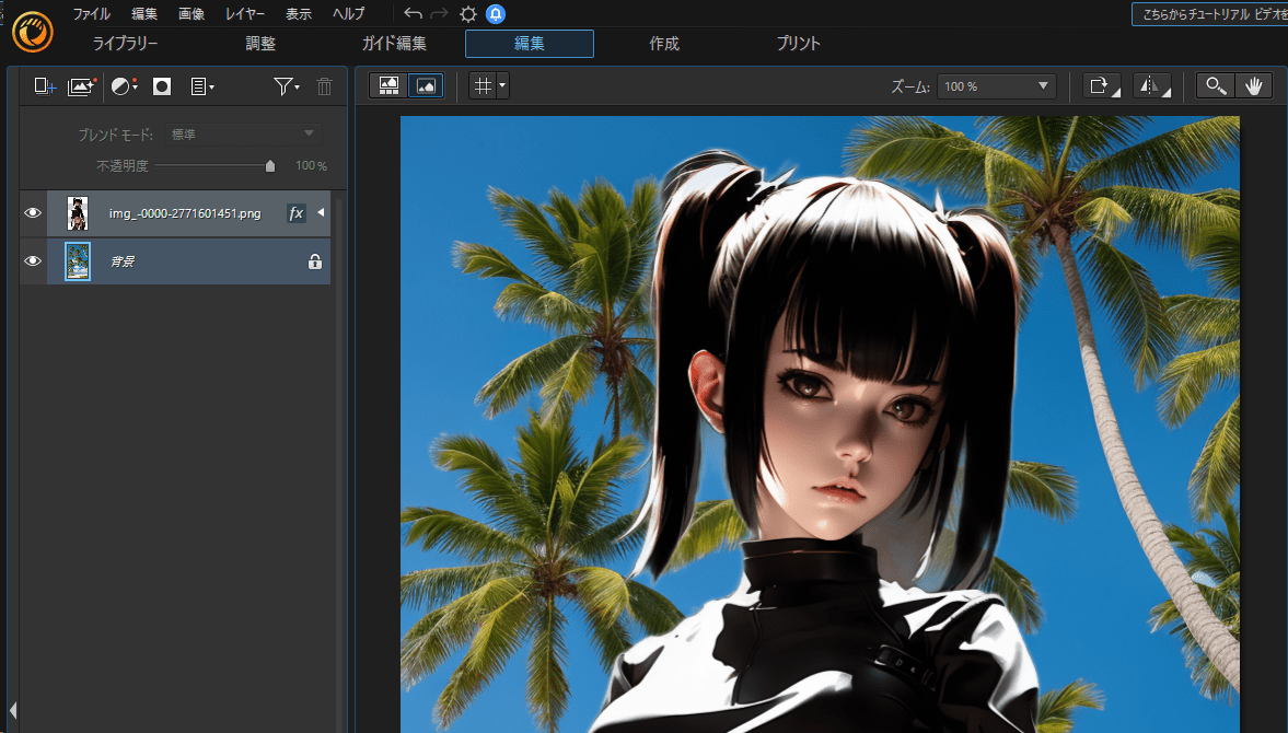 画像ソフトを用いた画像の結合